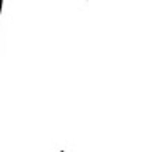 Meet your Posher, Abigail